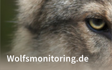 Link zur Internetseite des Wolfsmonitoring mit vielen Informationen zur Biologie und Lebensweise von Wölfen. 